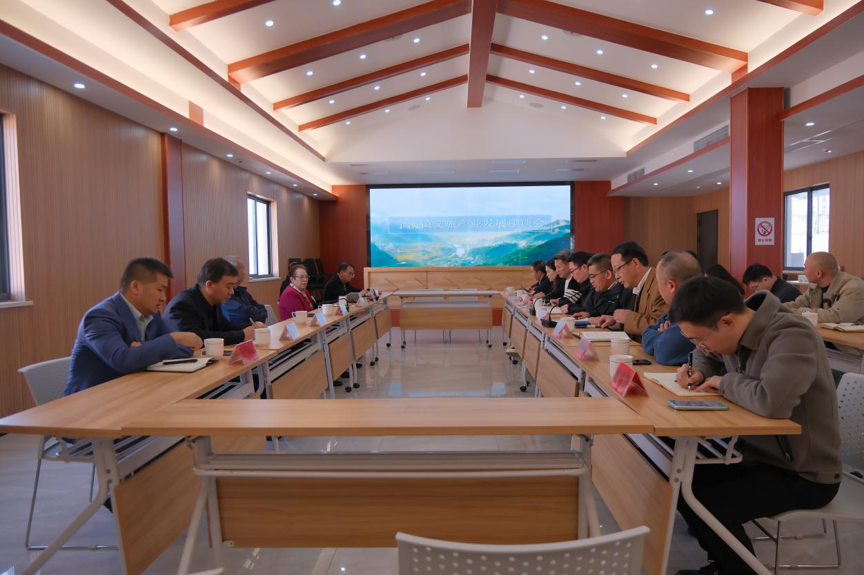  国内教育、艺体大咖齐聚宁溪共同描绘文旅产业融合发展蓝图